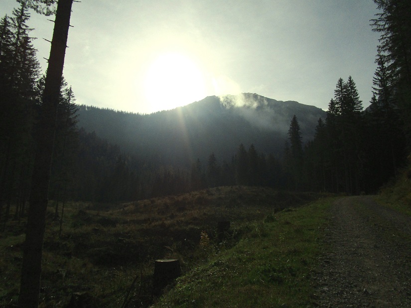 Foto: Andreas Koller / Klettertour / Südostgrat Großer Wildkamm (1874m) / Aufbruch zum Großen Wildkamm / 01.07.2026 01:02:31