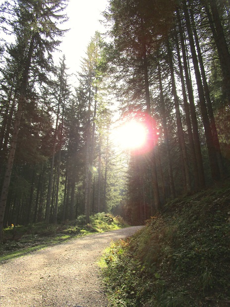 Foto: Andreas Koller / Klettertour / Südostgrat Großer Wildkamm (1874m) / 01.07.2026 01:02:15