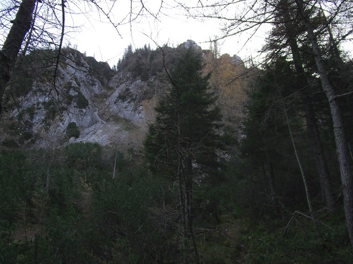 Foto: Andreas Koller / Klettertour / Südostgrat Großer Wildkamm (1874m) / 01.07.2026 01:02:00