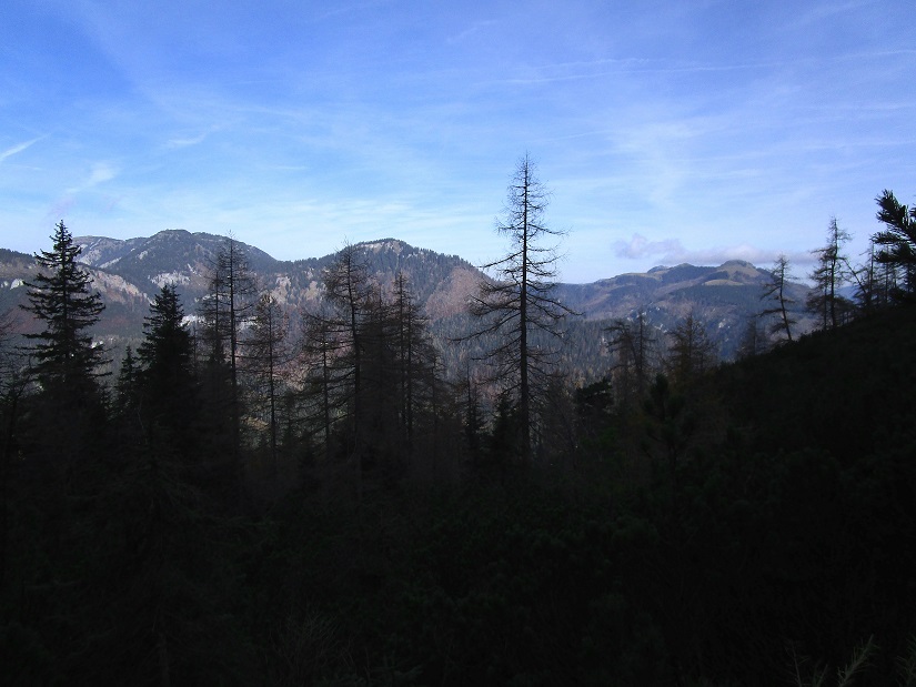 Foto: Andreas Koller / Klettertour / Südostgrat Großer Wildkamm (1874m) / 01.07.2026 01:01:45