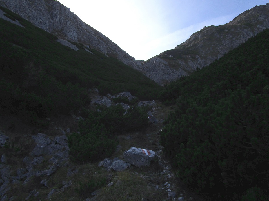 Foto: Andreas Koller / Klettertour / Südostgrat Großer Wildkamm (1874m) / 01.07.2026 01:01:15