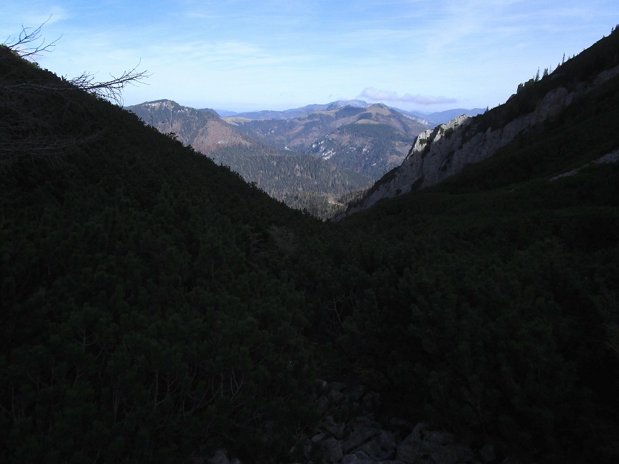Foto: Andreas Koller / Klettertour / Südostgrat Großer Wildkamm (1874m) / 01.07.2026 01:01:10