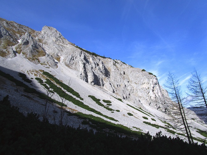 Foto: Andreas Koller / Klettertour / Südostgrat Großer Wildkamm (1874m) / 01.07.2026 01:01:00