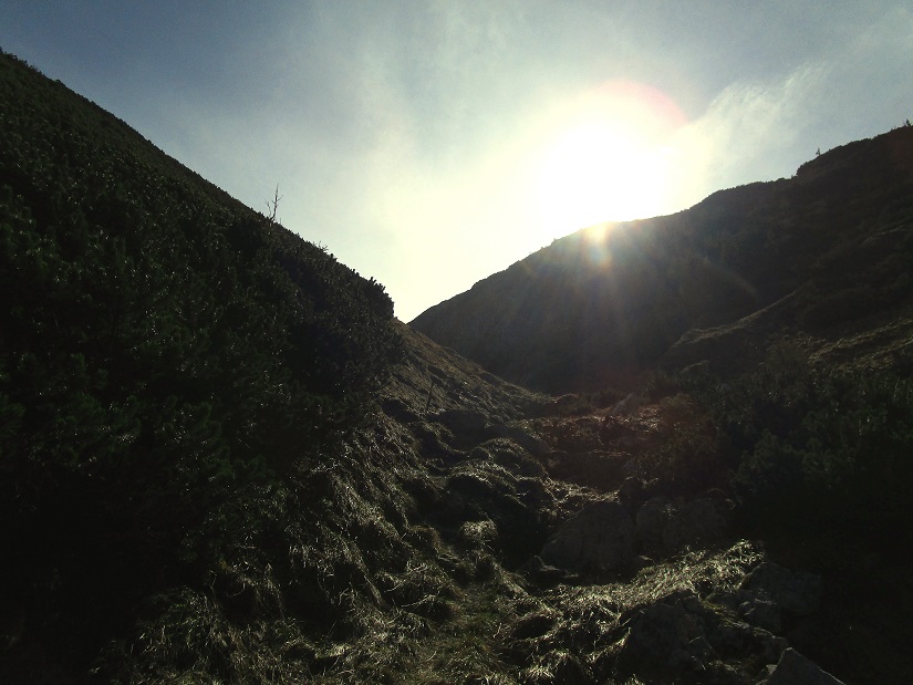 Foto: Andreas Koller / Klettertour / Südostgrat Großer Wildkamm (1874m) / 01.07.2026 01:00:36