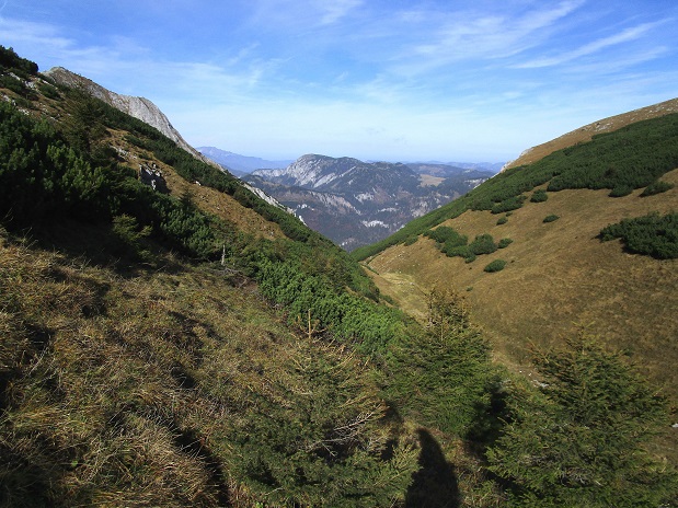Foto: Andreas Koller / Klettertour / Südostgrat Großer Wildkamm (1874m) / 01.07.2026 01:00:17