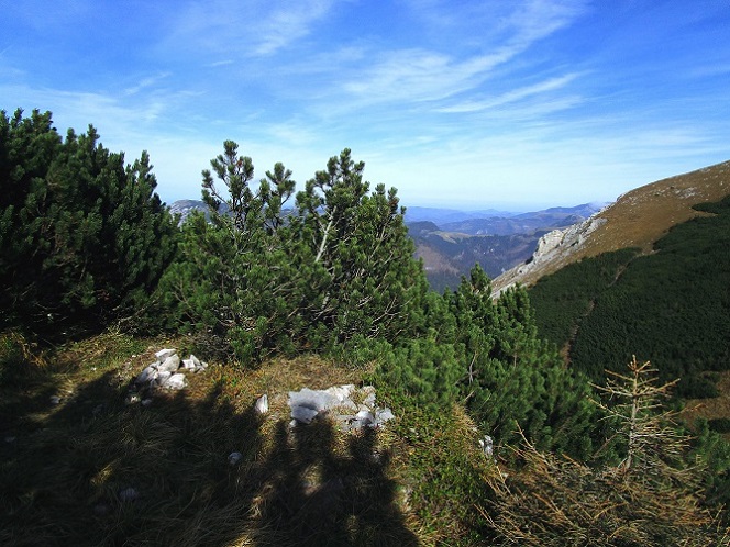 Foto: Andreas Koller / Klettertour / Südostgrat Großer Wildkamm (1874m) / Hier bei dem kleinen Steinmann abzweigen / 01.07.2026 01:00:11