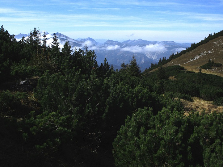 Foto: Andreas Koller / Klettertour / Südostgrat Großer Wildkamm (1874m) / 01.07.2026 00:59:50