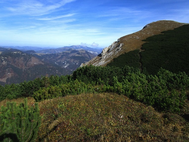Foto: Andreas Koller / Klettertour / Südostgrat Großer Wildkamm (1874m) / 01.07.2026 00:59:04