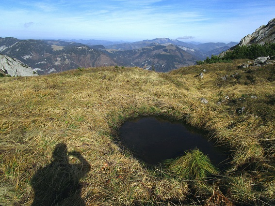 Foto: Andreas Koller / Klettertour / Südostgrat Großer Wildkamm (1874m) / 01.07.2026 00:58:56