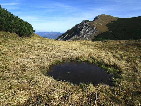 Foto: Andreas Koller / Klettertour / Südostgrat Großer Wildkamm (1874m) / 01.07.2026 00:58:49