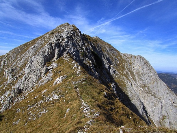 Foto: Andreas Koller / Klettertour / Südostgrat Großer Wildkamm (1874m) / 01.07.2026 00:57:57
