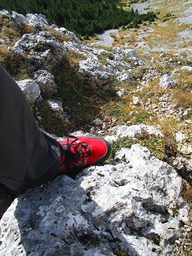 Foto: Andreas Koller / Klettertour / Südostgrat Großer Wildkamm (1874m) / 01.07.2026 00:57:09