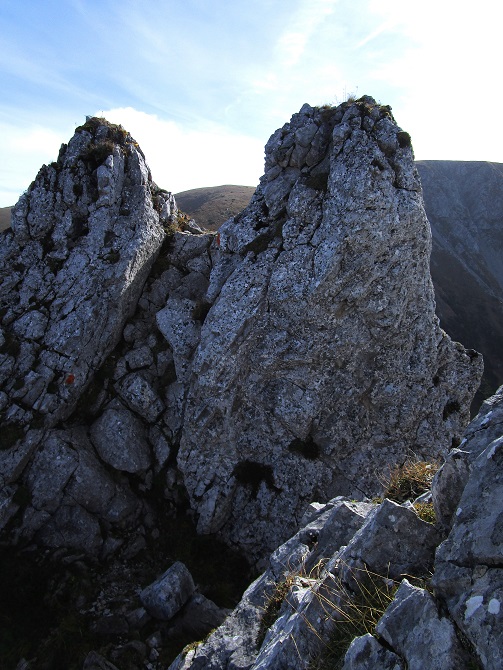 Foto: Andreas Koller / Klettertour / Südostgrat Großer Wildkamm (1874m) / 01.07.2026 00:57:02