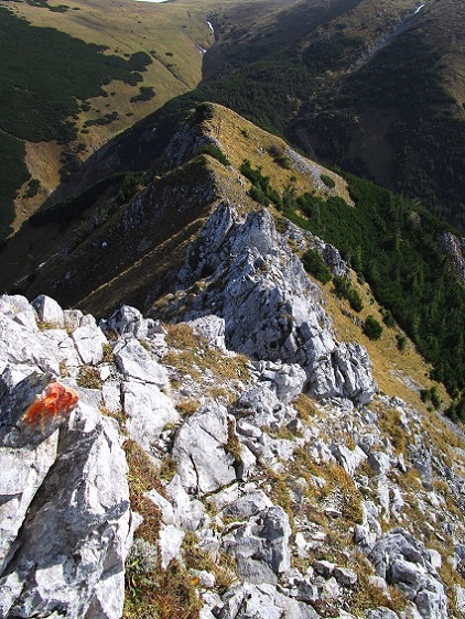 Foto: Andreas Koller / Klettertour / Südostgrat Großer Wildkamm (1874m) / 01.07.2026 00:56:44