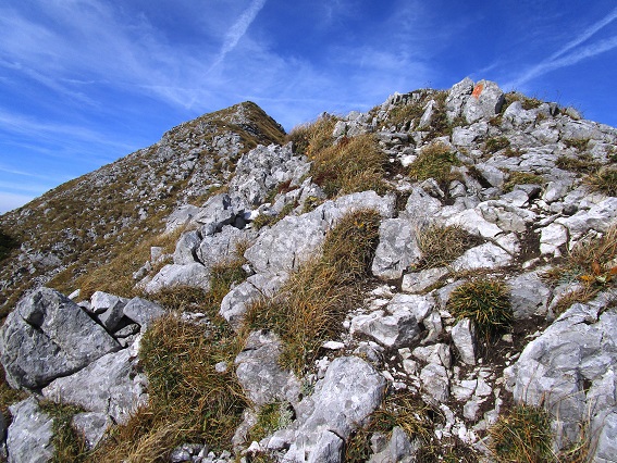 Foto: Andreas Koller / Klettertour / Südostgrat Großer Wildkamm (1874m) / 01.07.2026 00:56:28