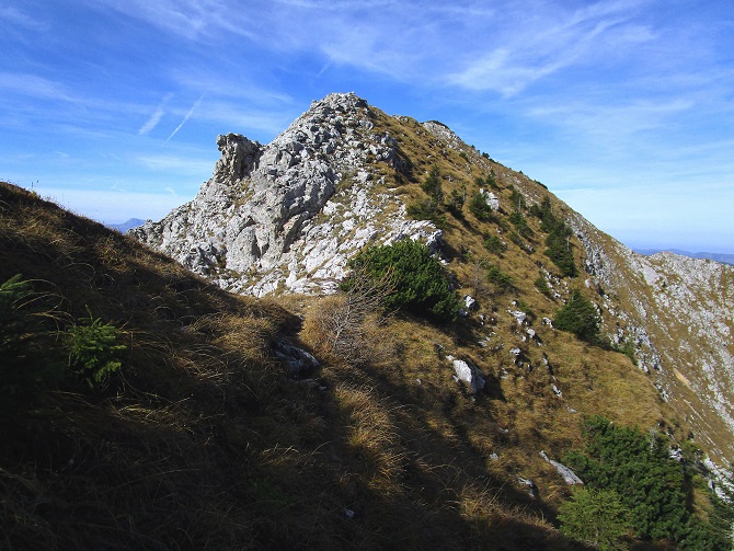 Foto: Andreas Koller / Klettertour / Südostgrat Großer Wildkamm (1874m) / 01.07.2026 00:56:09