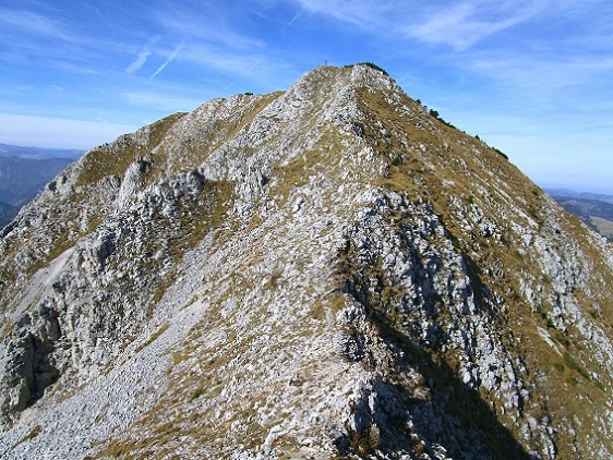 Foto: Andreas Koller / Klettertour / Südostgrat Großer Wildkamm (1874m) / 01.07.2026 00:55:45