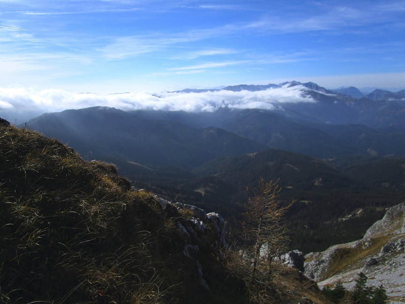 Foto: Andreas Koller / Klettertour / Südostgrat Großer Wildkamm (1874m) / 01.07.2026 00:55:36