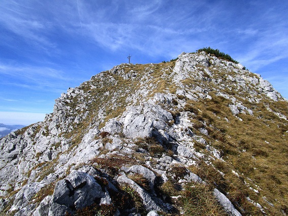 Foto: Andreas Koller / Klettertour / Südostgrat Großer Wildkamm (1874m) / Finaler Gratabschnitt / 01.07.2026 00:55:14