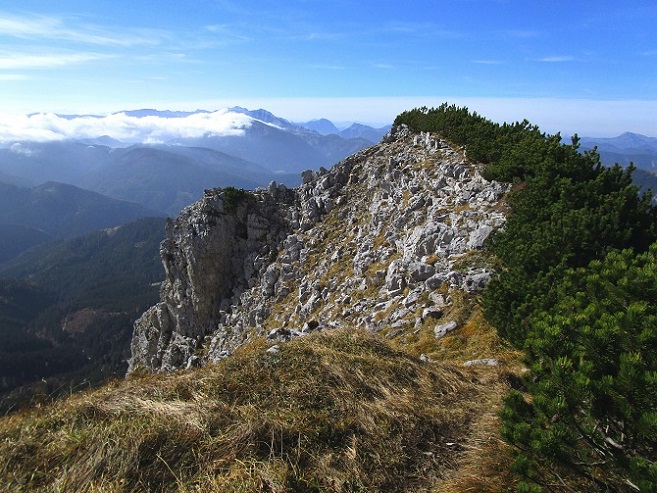 Foto: Andreas Koller / Klettertour / Südostgrat Großer Wildkamm (1874m) / 01.07.2026 00:52:42