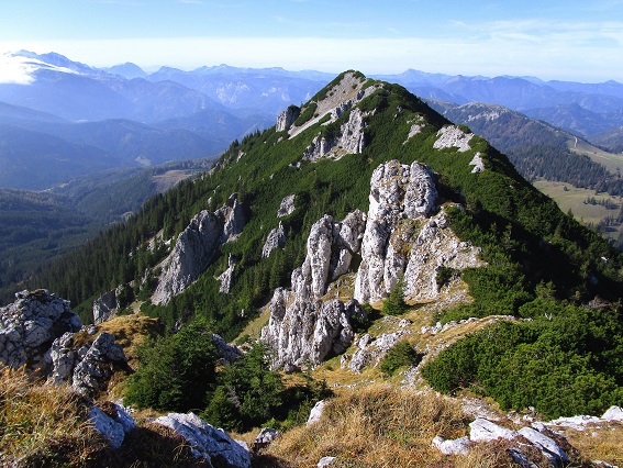 Foto: Andreas Koller / Klettertour / Südostgrat Großer Wildkamm (1874m) / Wildkamm / 01.07.2026 00:52:30
