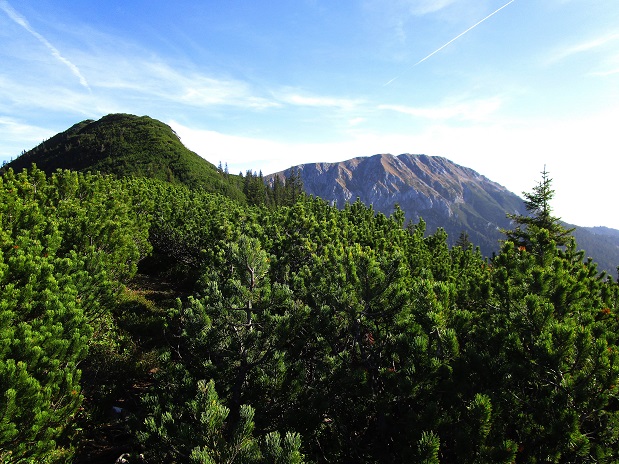 Foto: Andreas Koller / Klettertour / Südostgrat Großer Wildkamm (1874m) / 01.07.2026 00:52:12
