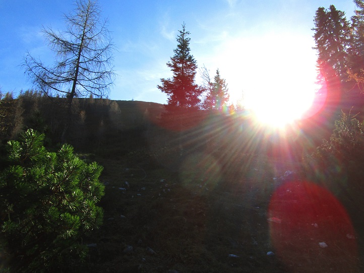 Foto: Andreas Koller / Klettertour / Südostgrat Großer Wildkamm (1874m) / 01.07.2026 00:51:36