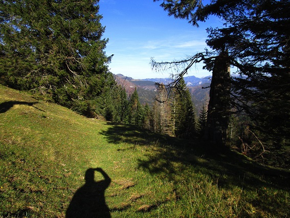 Foto: Andreas Koller / Klettertour / Südostgrat Großer Wildkamm (1874m) / Abstieg von der Sohlen Alm / 01.07.2026 00:50:09