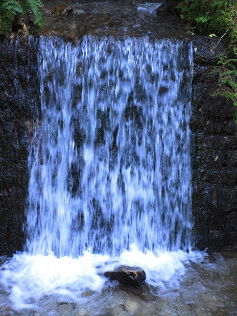 Foto: Andreas Koller / Klettertour / Südostgrat Großer Wildkamm (1874m) / 01.07.2026 00:49:32