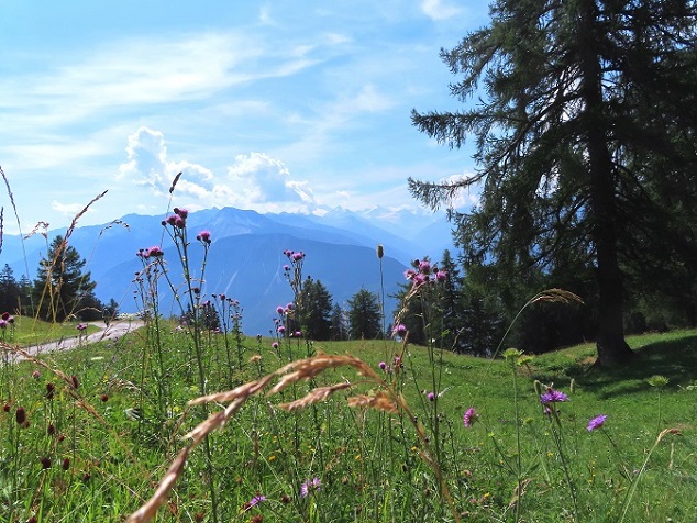 Foto: Andreas Koller / Wandertour / Aussichtsberg Petit Mont Bovin (2412m) / Beim Ausgangspunkt Col de Crans Montana / 11.08.2026 22:58:10