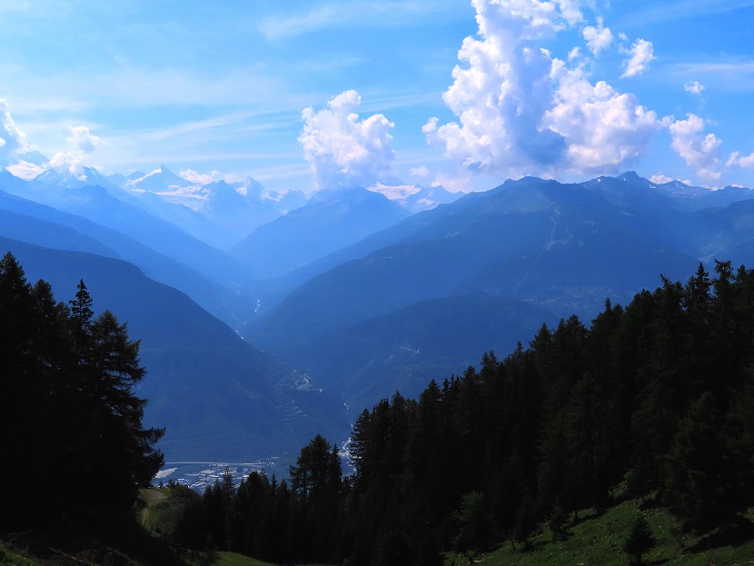Foto: Andreas Koller / Wandertour / Aussichtsberg Petit Mont Bovin (2412m) / 11.08.2026 22:57:25
