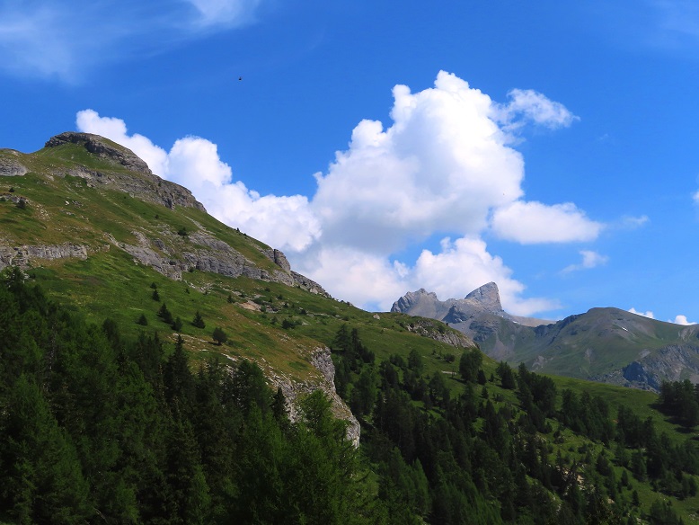 Foto: Andreas Koller / Wandertour / Aussichtsberg Petit Mont Bovin (2412m) / 11.08.2026 22:56:57