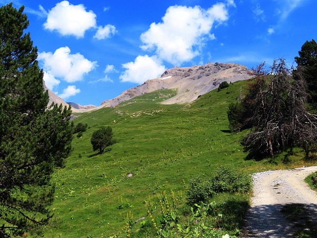 Foto: Andreas Koller / Wandertour / Aussichtsberg Petit Mont Bovin (2412m) / 11.08.2026 22:55:37