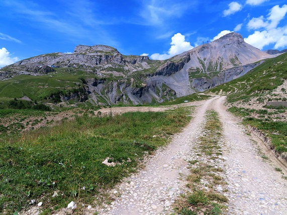 Foto: Andreas Koller / Wandertour / Aussichtsberg Petit Mont Bovin (2412m) / 11.08.2026 22:55:31