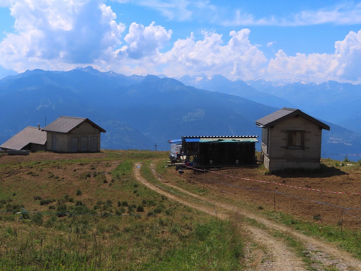 Foto: Andreas Koller / Wandertour / Aussichtsberg Petit Mont Bovin (2412m) / La Tsat / 11.08.2026 22:55:01