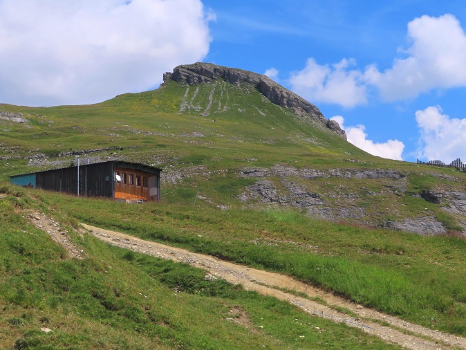 Foto: Andreas Koller / Wandertour / Aussichtsberg Petit Mont Bovin (2412m) / Petit Mont Bovin / 11.08.2026 22:54:49