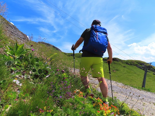 Foto: Andreas Koller / Wandertour / Aussichtsberg Petit Mont Bovin (2412m) / 11.08.2026 22:54:23