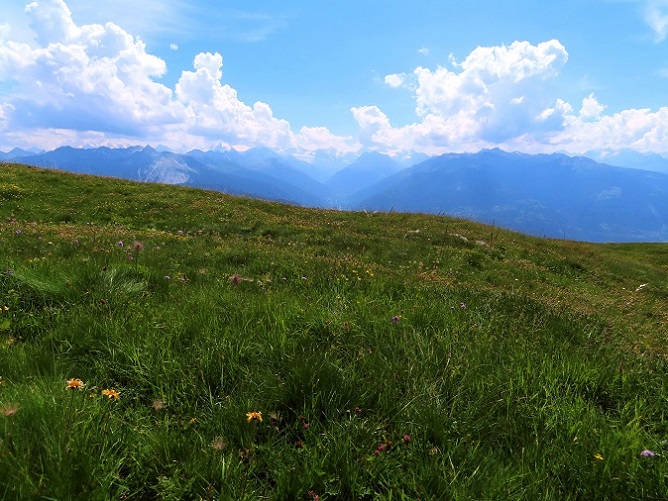 Foto: Andreas Koller / Wandertour / Aussichtsberg Petit Mont Bovin (2412m) / 11.08.2026 22:53:57
