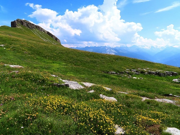 Foto: Andreas Koller / Wandertour / Aussichtsberg Petit Mont Bovin (2412m) / 11.08.2026 22:49:56