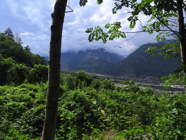 Foto: Andreas Koller / Wandertour / Jesus Besinnungsweg Naturns (712m) / 12.08.2026 22:17:30