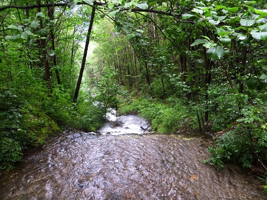 Foto: Andreas Koller / Wandertour / Jesus Besinnungsweg Naturns (712m) / 12.08.2026 22:17:17