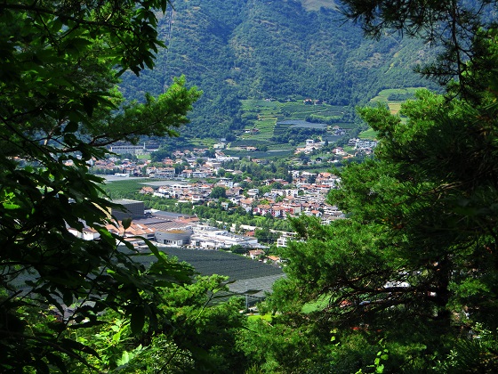 Foto: Andreas Koller / Wandertour / Jesus Besinnungsweg Naturns (712m) / Naturns / 12.08.2026 22:16:55