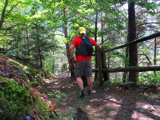 Foto: Andreas Koller / Wandertour / Jesus Besinnungsweg Naturns (712m) / 12.08.2026 22:16:45