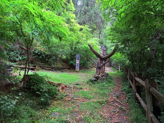 Foto: Andreas Koller / Wandertour / Jesus Besinnungsweg Naturns (712m) / 12.08.2026 22:16:21