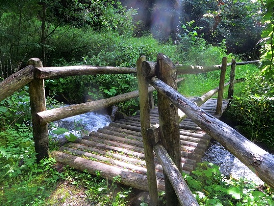 Foto: Andreas Koller / Wandertour / Jesus Besinnungsweg Naturns (712m) / 12.08.2026 22:15:45