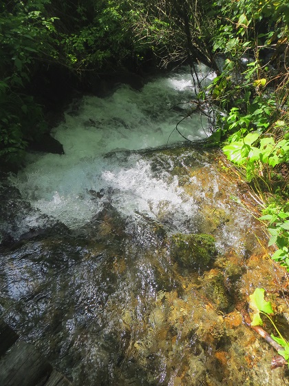Foto: Andreas Koller / Wandertour / Jesus Besinnungsweg Naturns (712m) / 12.08.2026 22:15:37
