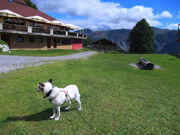 Foto: Andreas Koller / Wandertour / Panoramaweg Seeköpfl - Grüner See (2635m) / 13.08.2026 13:12:37