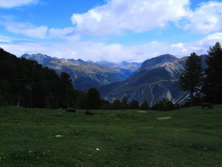 Foto: Andreas Koller / Wandertour / Panoramaweg Seeköpfl - Grüner See (2635m) / 13.08.2026 13:12:27