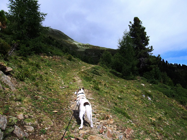 Foto: Andreas Koller / Wandertour / Panoramaweg Seeköpfl - Grüner See (2635m) / 13.08.2026 13:12:07