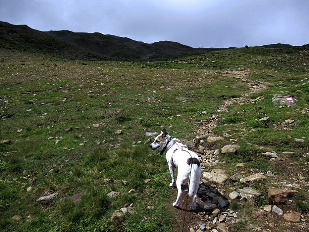 Foto: Andreas Koller / Wandertour / Panoramaweg Seeköpfl - Grüner See (2635m) / 13.08.2026 13:11:19